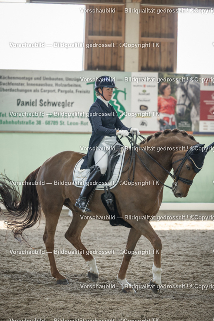 _D5A9625 | Emotionale Pferde- & People-Fotografie rund um Heidelberg, Leimen & Umgebung. Natürliche Fotos von Pferd, Mensch & Familie. Jetzt Termin sichern!