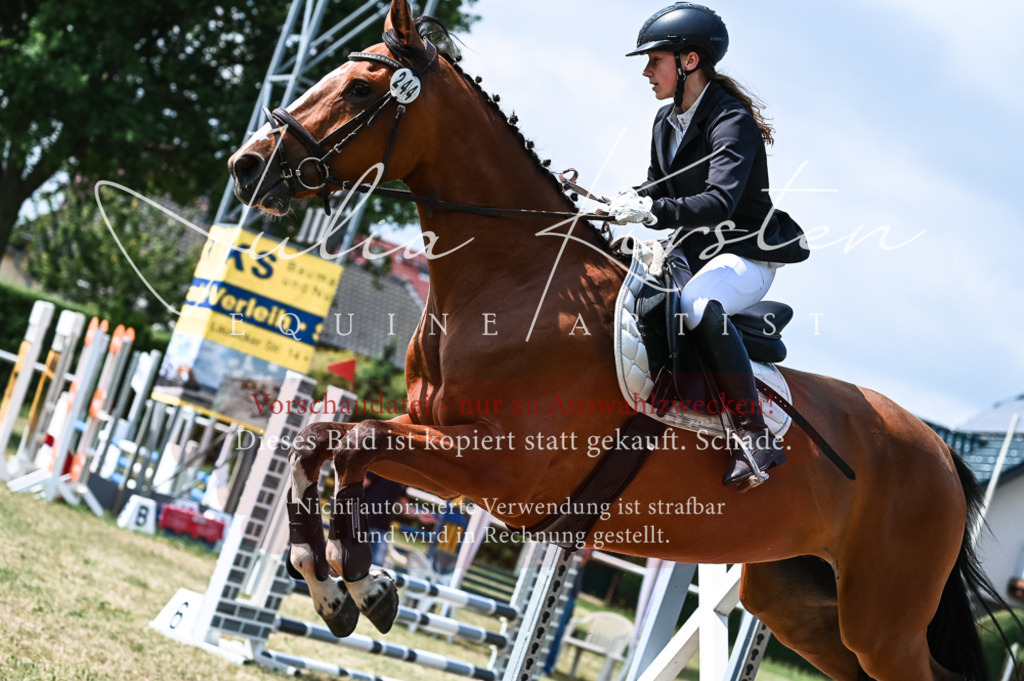 DSC_8683 | Pferde- und Turnierfotografie in Westsachsen. Pferdeportraits, Auftragszeichnungen und intuitive Kunst.