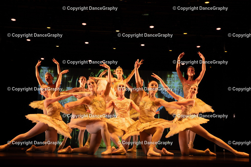 GPHY5308 | DanceGraphy - Realisiert mit Pictrs.com