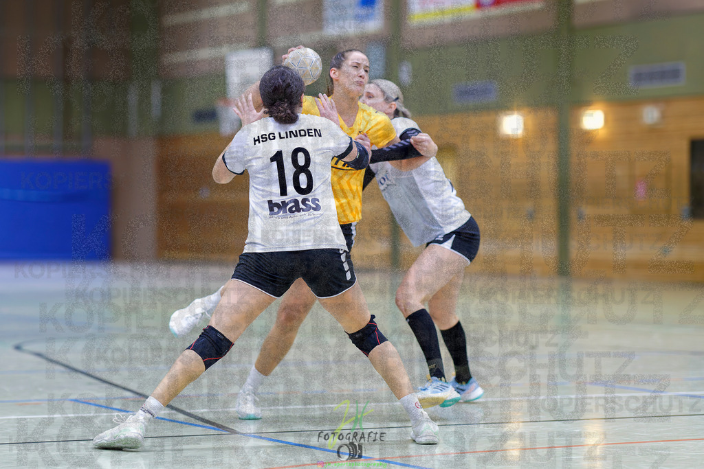 Frauen Oberliga Mitte (HHV); HSG Eibelshausen/Ewersbach - HSG Linden | Frauen Oberliga Mitte (HHV); HSG Eibelshausen/Ewersbach - HSG Linden am 15.11.2025 in Eibelshausen (Holderberghalle)Photo © 2025 - Jörg Heinrich - Realisiert mit Pictrs.com