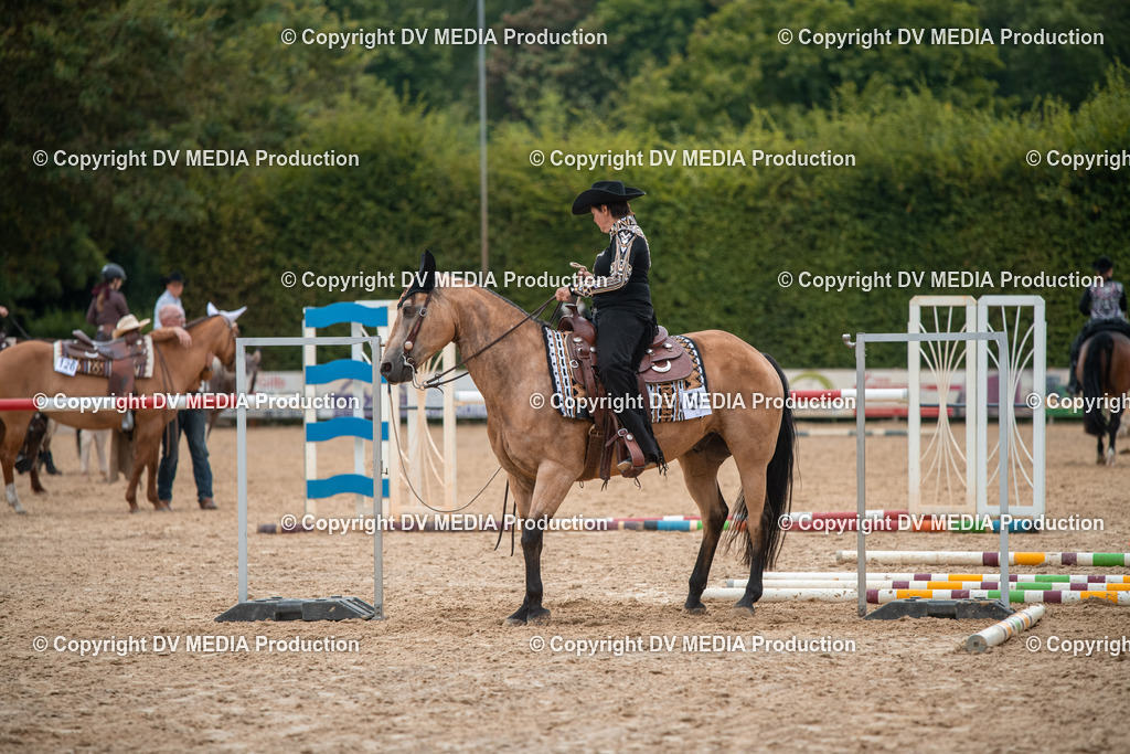 ZS2_7885 | dv-media-shop - Realisiert mit Pictrs.com