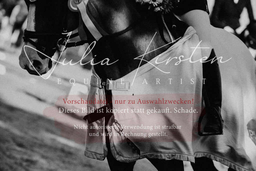 DSC_0744 | Pferde- und Turnierfotografie in Westsachsen. Pferdeportraits, Auftragszeichnungen und intuitive Kunst.