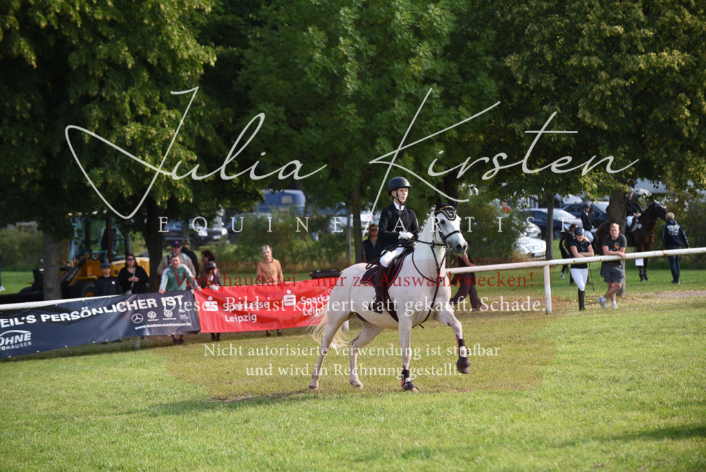 DSC_8644 | Pferde- und Turnierfotografie in Westsachsen. Pferdeportraits, Auftragszeichnungen und intuitive Kunst.