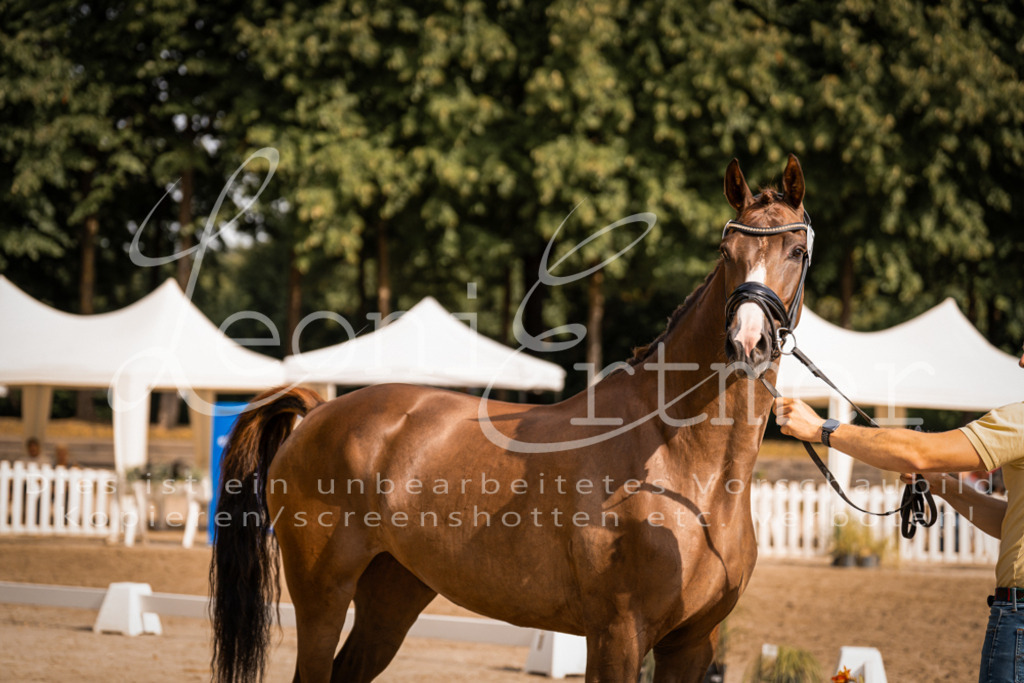 FrER00136 | Leoni Ertmer Photography - Realisiert mit Pictrs.com