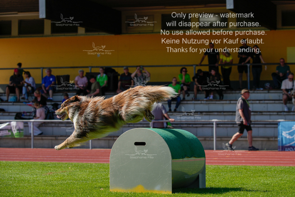 Sonntag_VK Hindernis (118 von 671) | stephaniefillaphotographie - Realisiert mit Pictrs.com