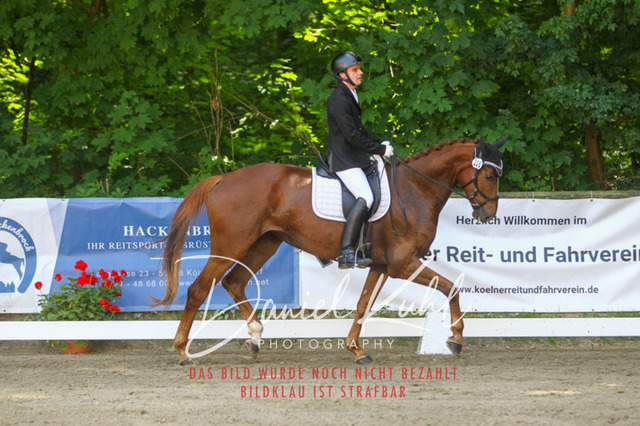 DKP42316 | Turniersportfotografie; Pferdefotografie; Dressurfotografie