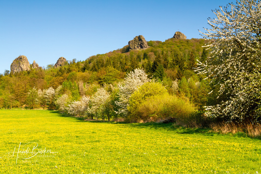 Naturmonument Bruchhauser Steine | Naturmonument Bruchhauser Steine im Sauerland - Realisiert mit Pictrs.com