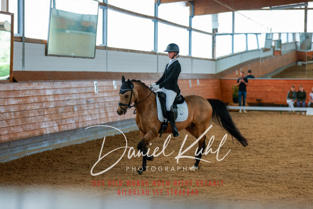 _62_4669 | Turniersportfotografie; Pferdefotografie; Dressurfotografie