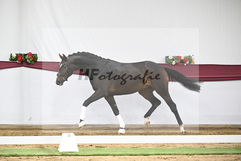 Kat-Nr. 42 So Perfect x Dancier_ZG Nahm_47251475 | hf-fotografie - Realisiert mit Pictrs.com