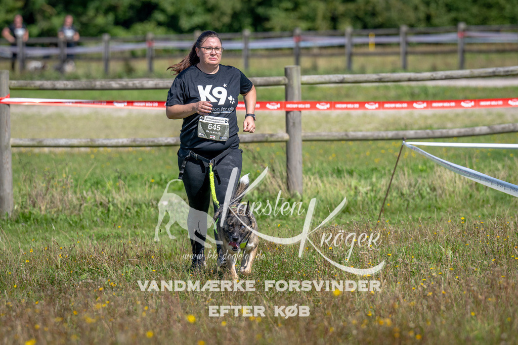 1249_ZZ91937 | kk-dogfotos