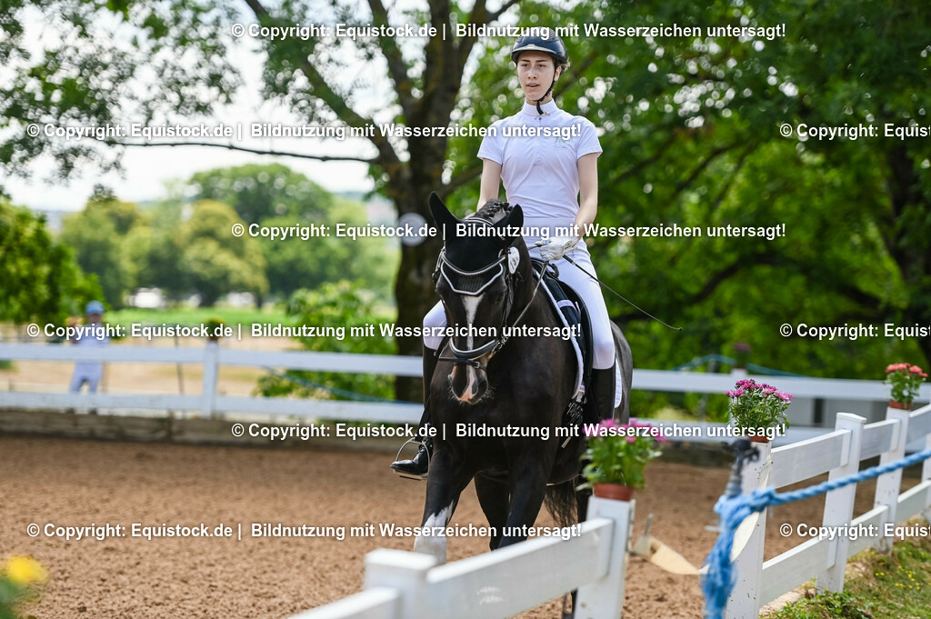 20230716_03_Dressurprfg. Kl.L - Tr._0023 | equistock