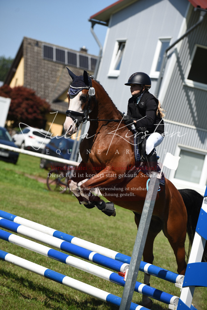 DSC_9606 | Pferde- und Turnierfotografie in Westsachsen. Pferdeportraits, Auftragszeichnungen und intuitive Kunst.