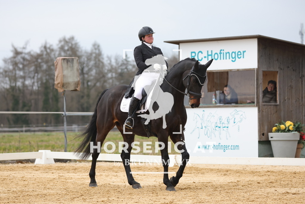 0P6A5748 | Willkommen bei Brunnmayr - Design & Fotografie – Ihrem Spezialisten für Reitturniere und Pferdeveranstaltungen in Oberösterreich, Salzburg und Bayern! Seit über 17 Jahren sind wir leidenschaftlich dabei.