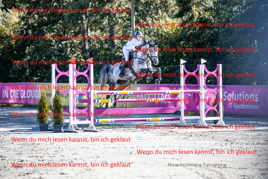 BK1A5778 | Turnierbilder Turnierfotos Nina Hüffmann Turnierfotografie Pferdefotografie Tierzeichnung Haustierzeichnung Pferdezeichnung Hundezeichnung Videograf  - Realisiert mit Pictrs.com