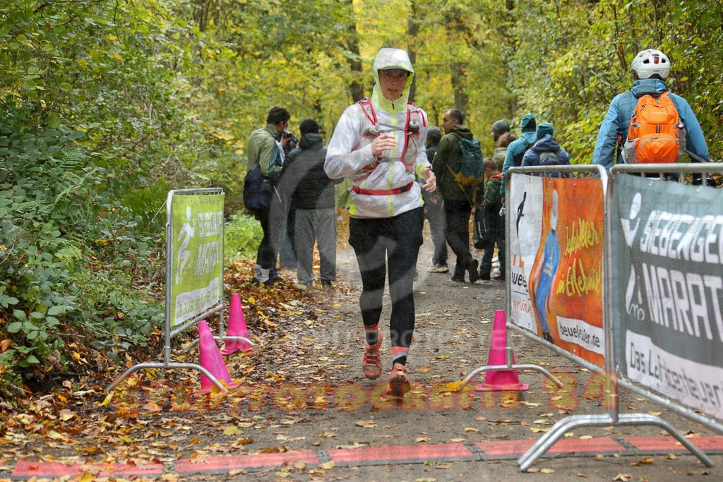 251026_1337_EX1_3779 | Sportfotografie im Rhein-Sieg Kreis, Köln, Bonn, NRW, Rheinland Pfalz, Hessen, etc. Unser Tätigkeitsfeld umfasst den Laufsport vom Volkslauf über den Marathon, Duathlon, Triathon bis zum Ultralauf wie Kölnpfad Ultra oder Schindertrail.