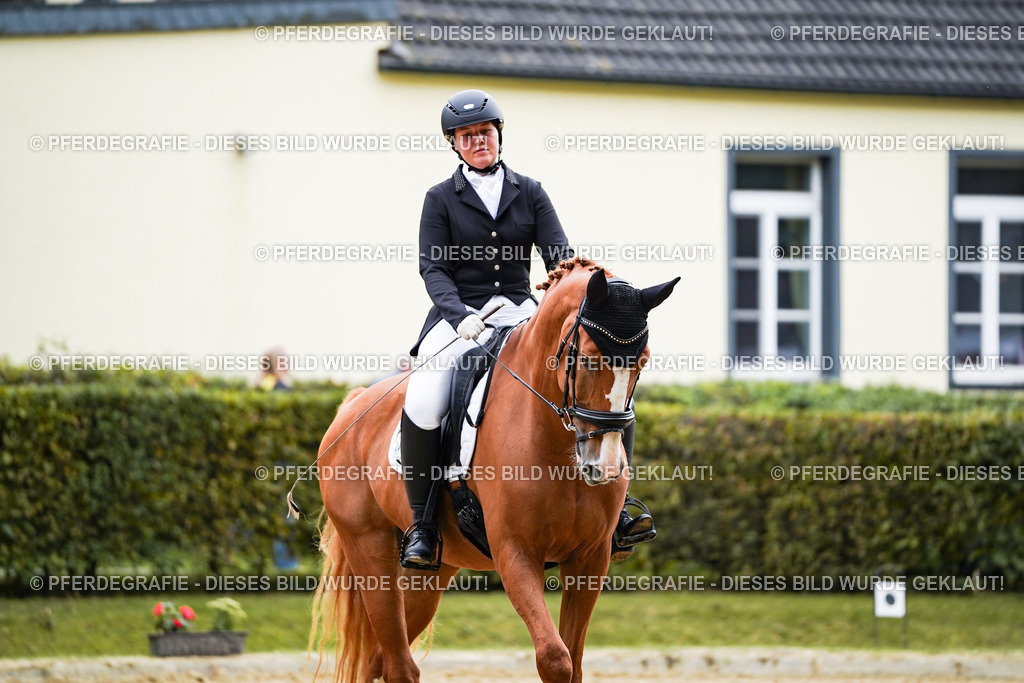 DSC01021 | Pferdegrafie