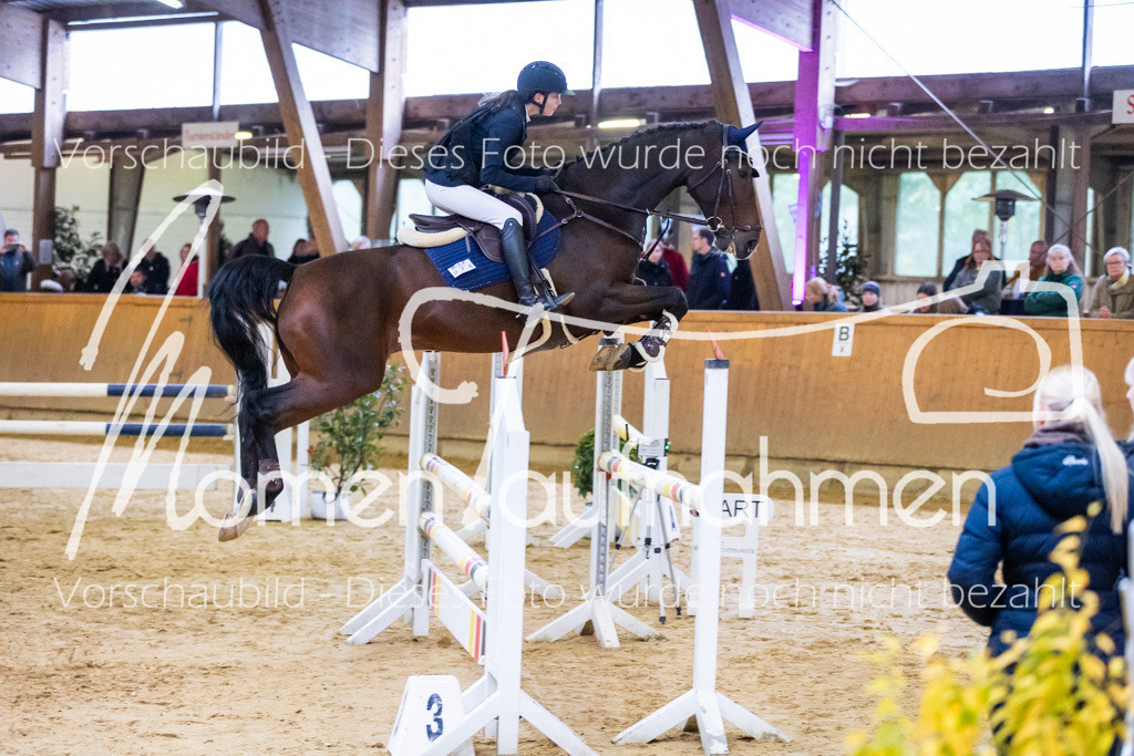 Sth-A-Spr.m.st.A.-041 | MomenTaufnahmen Pferdesportfotos