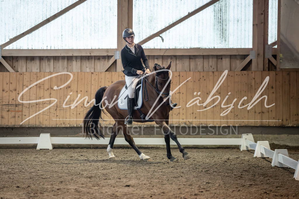 20251011-_3LI6091 | Tierfotografie Pferde, Hunde, Katzen, Haustiere.
Turnierfotografie Reitturniere, Reiten, Springreiten, Dressur in Hanau, dem Main-Kinzig-Kreis und dem Rhein-Main- Gebiet um Frankfurt