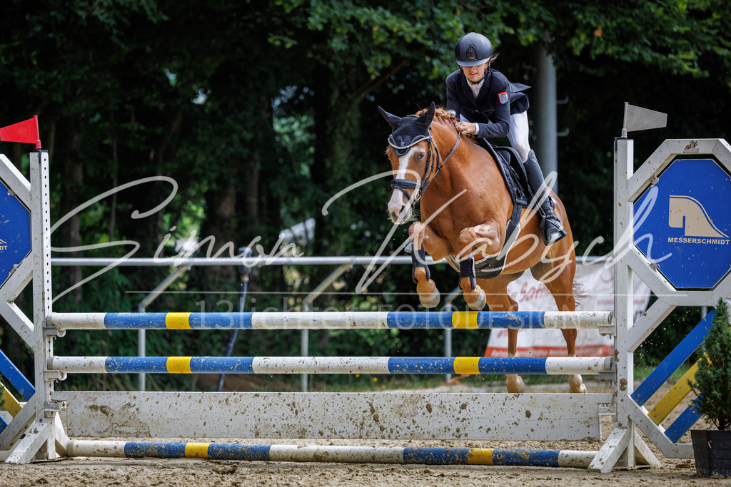 20260705-_3LI5455 | Tierfotografie Pferde, Hunde, Katzen, Haustiere.
Turnierfotografie Reitturniere, Reiten, Springreiten, Dressur in Hanau, dem Main-Kinzig-Kreis und dem Rhein-Main- Gebiet um Frankfurt