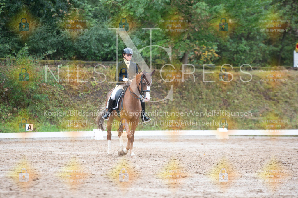 DSC_0901 | Nils Cress - Fotografie - Realisiert mit Pictrs.com