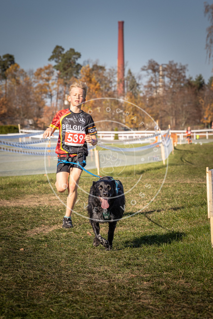 CaniXpix_0L8A7498 | Hundefotografie, Tierfotograf, Pfotenfotografie, Fotoshooting Hund, Hunde Portrait, Hundesport, Hundeportraits, Heideshooting, Hunde, Sportfotograf, Hundefotograf, Turnierhundsport, THS,  - Realisiert mit Pictrs.com