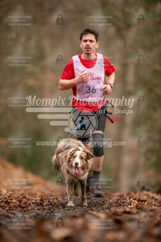 SPA_2023_DIM_CCL-95 | PayLife