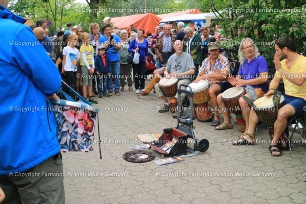 IMG_5049 | aragon-pics - Realisiert mit Pictrs.com