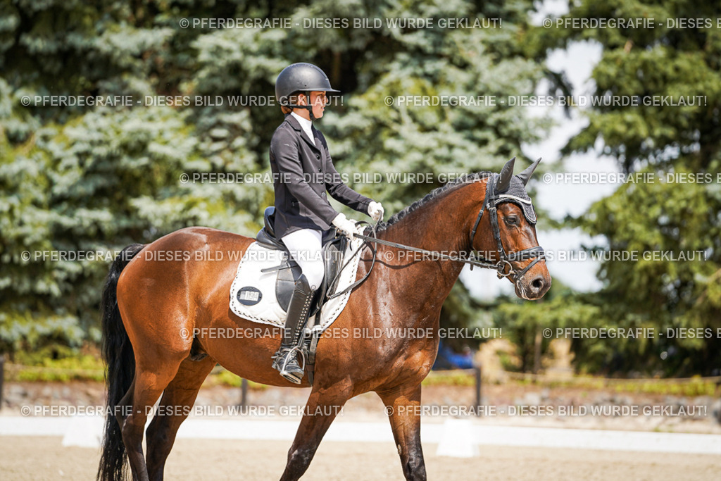 DSC02905 | Pferdegrafie