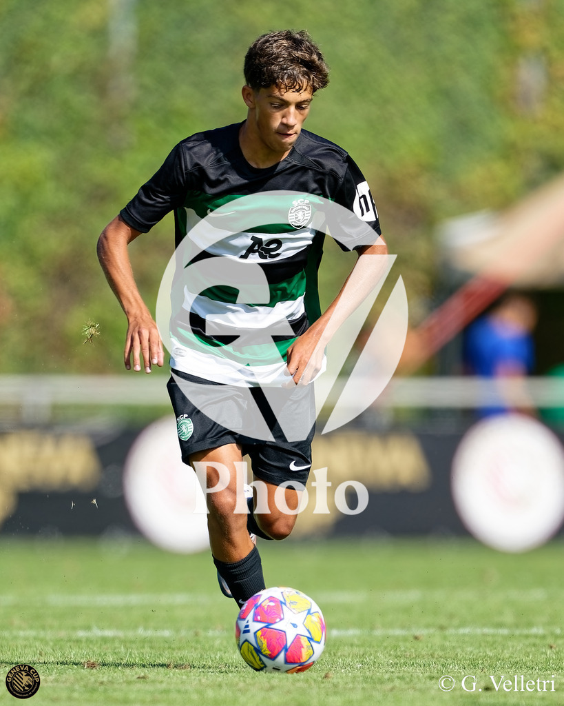 DZ9_5035 | Velletri Photo