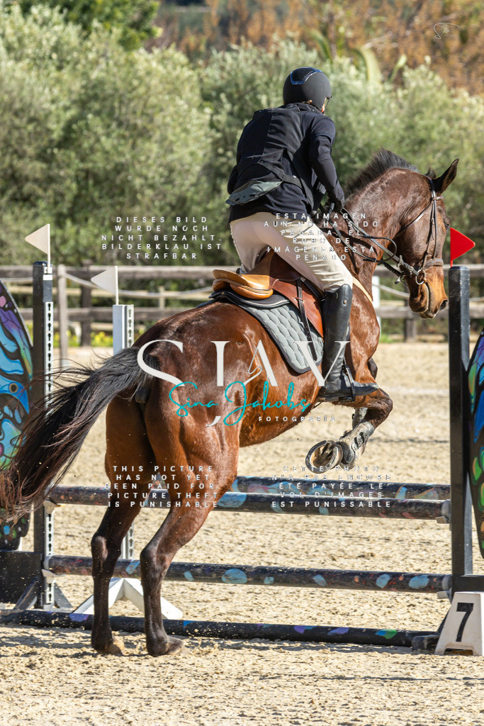 IMG_3746 | s-jay-photography - Realisiert mit Pictrs.com