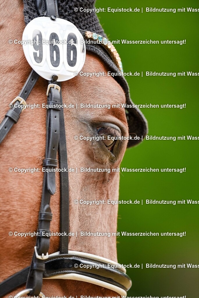 20250608_CVI-Masterclass_0557 | Foto: Thomas Hartig