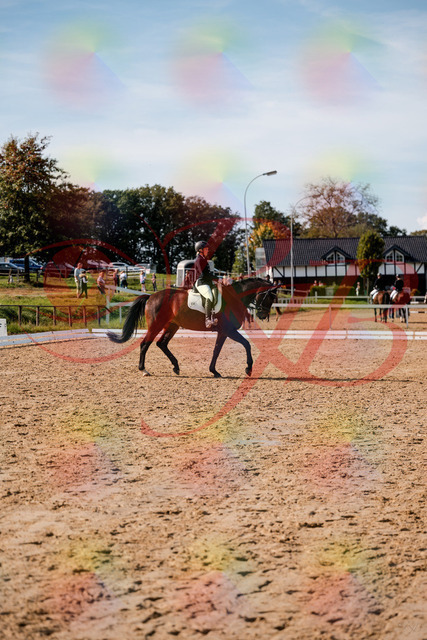 2026_10_03_Siefer-Hof_133509_Z63_94323656 | Professionelle Reitsport-, Turnier- und Eventfotografie von Robert Broda. Galerien mit ausgewählten und bearbeiteten Bildern direkt online ansehen und bestellen.