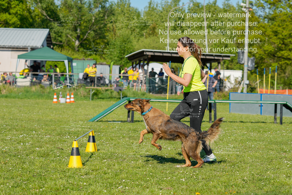 Sa_CSC-426 | stephaniefillaphotographie - Realisiert mit Pictrs.com