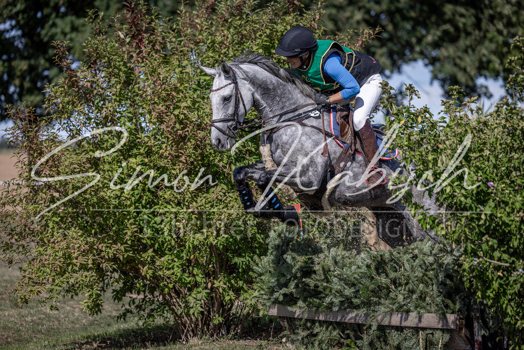 20260906-_3LI5415 | Tierfotografie Pferde, Hunde, Katzen, Haustiere.
Turnierfotografie Reitturniere, Reiten, Springreiten, Dressur in Hanau, dem Main-Kinzig-Kreis und dem Rhein-Main- Gebiet um Frankfurt