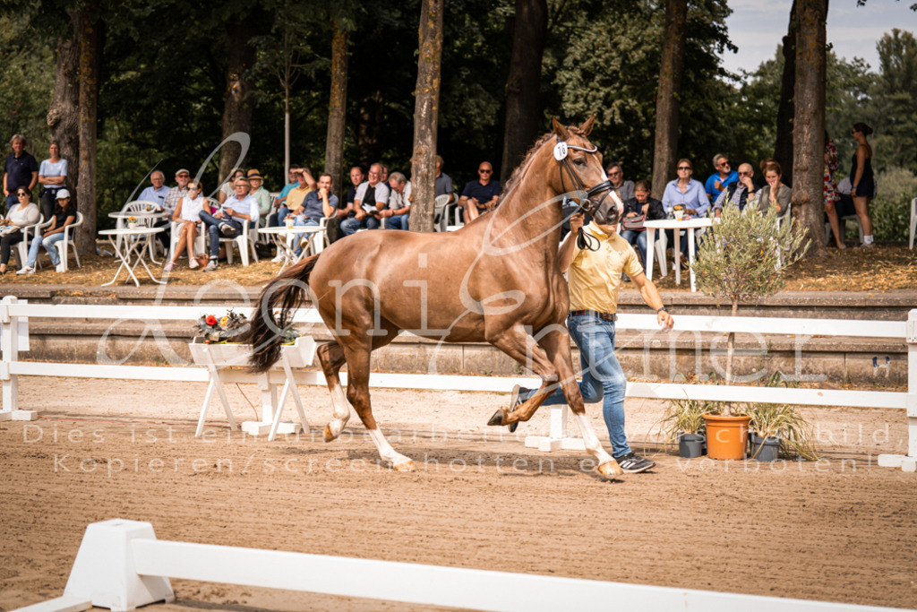 4.Fr00056 | Leoni Ertmer Photography - Realisiert mit Pictrs.com