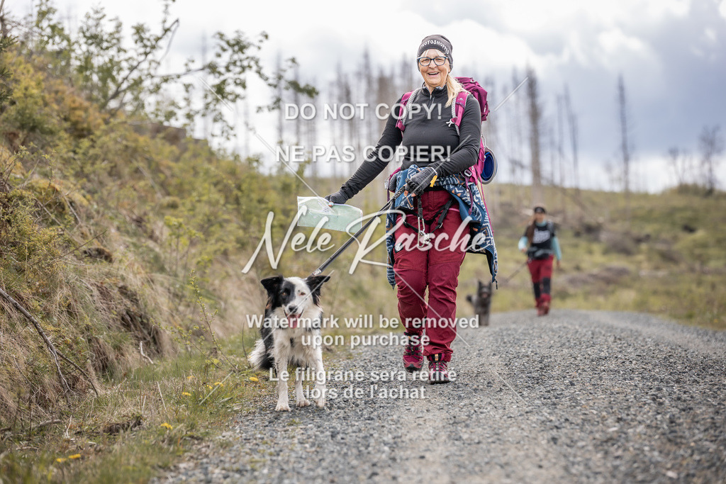6Z1A1430 | nelerasche