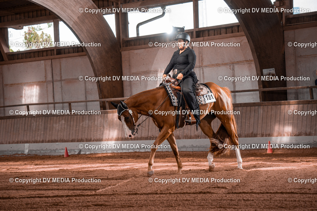 NE100335 | dv-media-shop - Realisiert mit Pictrs.com