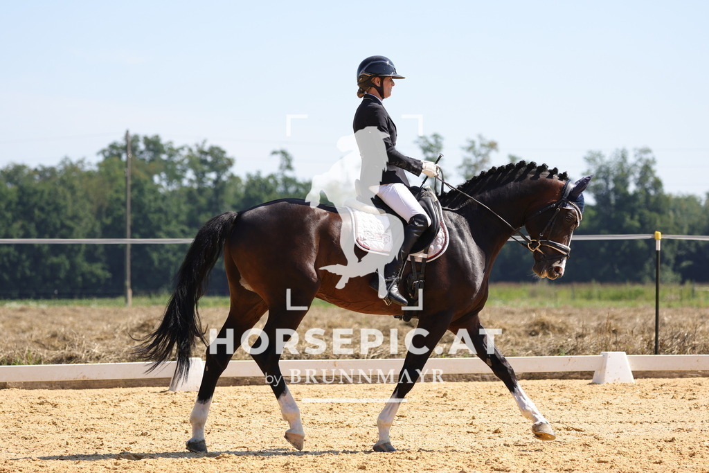 0P6A9637 | Willkommen bei Brunnmayr - Design & Fotografie – Ihrem Spezialisten für Reitturniere und Pferdeveranstaltungen in Oberösterreich, Salzburg und Bayern! Seit über 17 Jahren sind wir leidenschaftlich dabei.