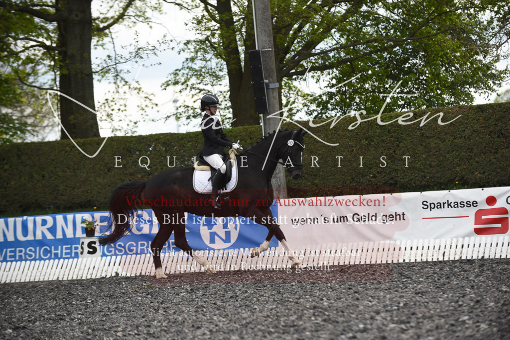 20230513_JK-Röhrsdorf-16-242 | Pferde- und Turnierfotografie in Westsachsen. Pferdeportraits, Auftragszeichnungen und intuitive Kunst.