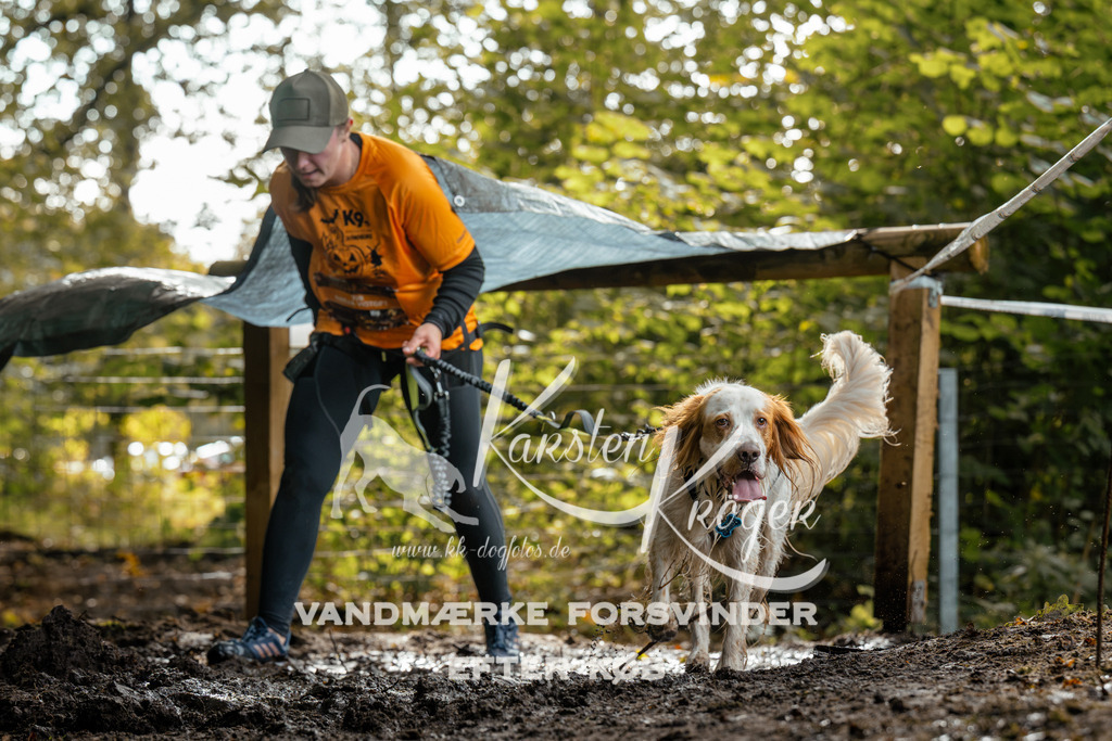 1454DZ6_3794Z6 | kk-dogfotos