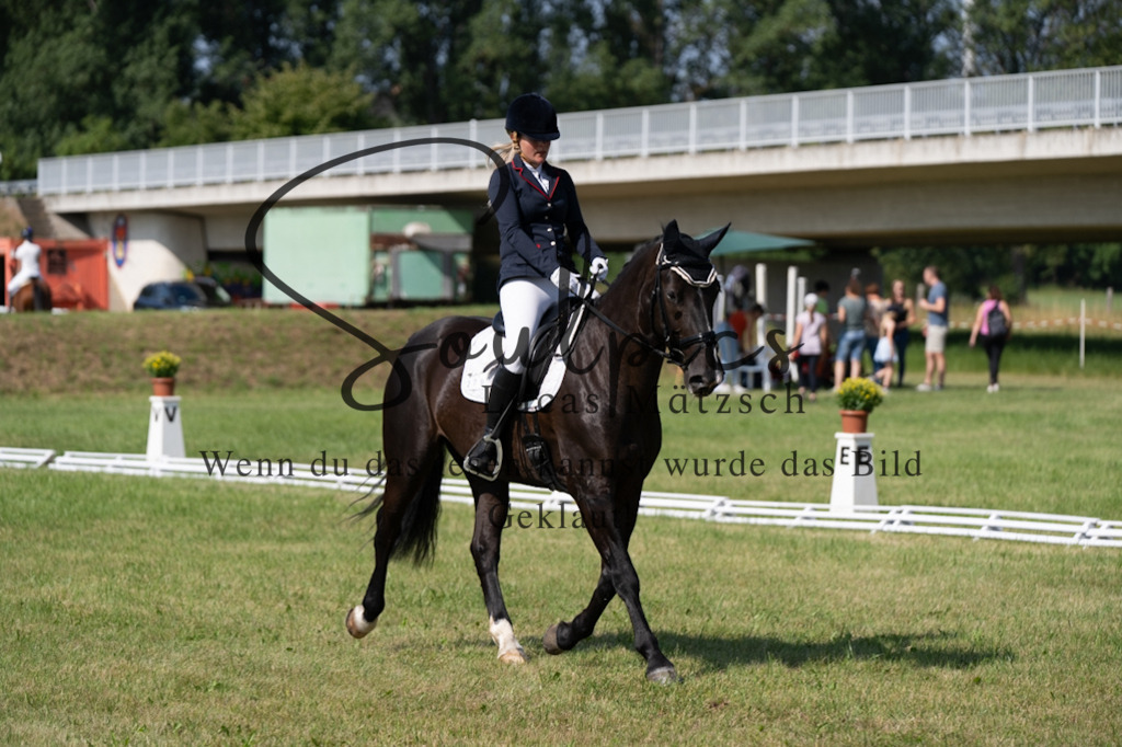 A7V09556 | Pferdefotograf