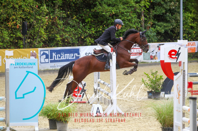 DKP40240 | Turniersportfotografie; Pferdefotografie; Dressurfotografie