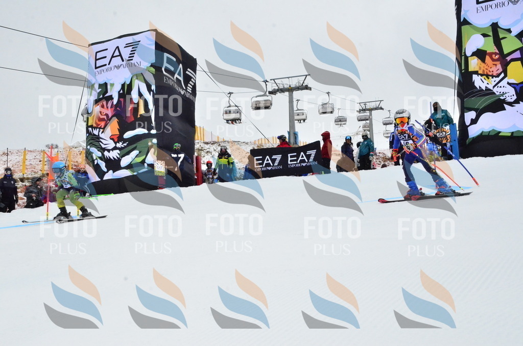 _ELE3431 | holidayphoto