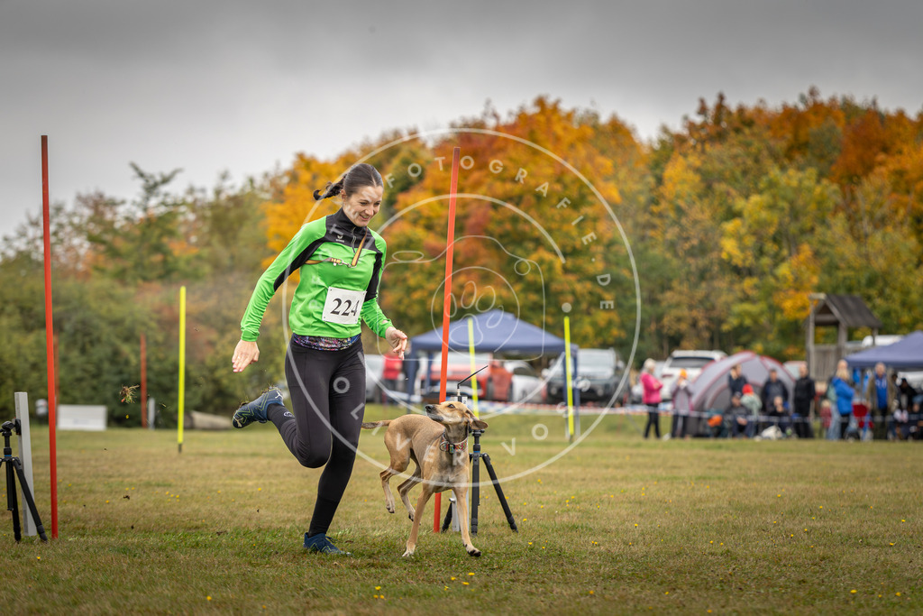 Pfotenfotografie_DV3A3894 | Hundefotografie, Tierfotograf, Pfotenfotografie, Fotoshooting Hund, Hunde Portrait, Hundesport, Hundeportraits, Heideshooting, Hunde, Sportfotograf, Hundefotograf, Turnierhundsport, THS,  - Realisiert mit Pictrs.com