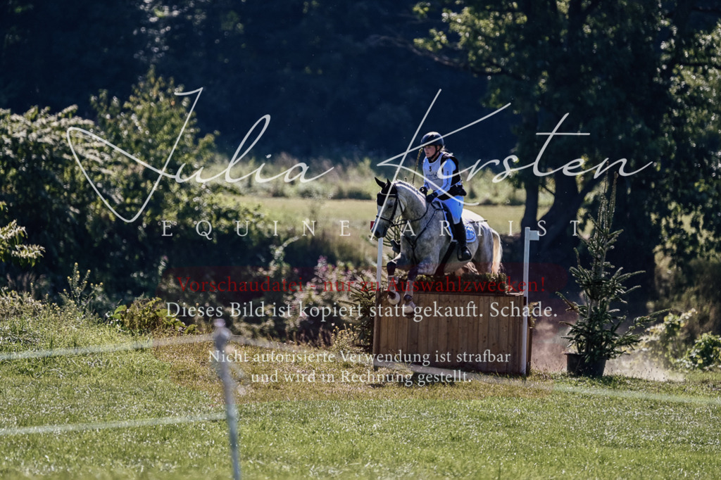 DSC_1377 | Pferde- und Turnierfotografie in Westsachsen. Pferdeportraits, Auftragszeichnungen und intuitive Kunst.