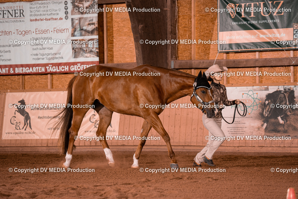 NE100126 | dv-media-shop - Realisiert mit Pictrs.com