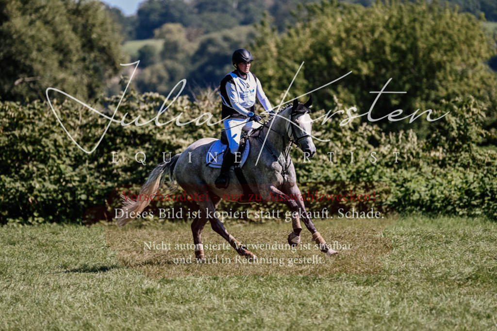 DSC_1417 | Pferde- und Turnierfotografie in Westsachsen. Pferdeportraits, Auftragszeichnungen und intuitive Kunst.