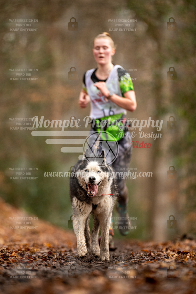 SPA_2023_DIM_CCL-68 | PayLife