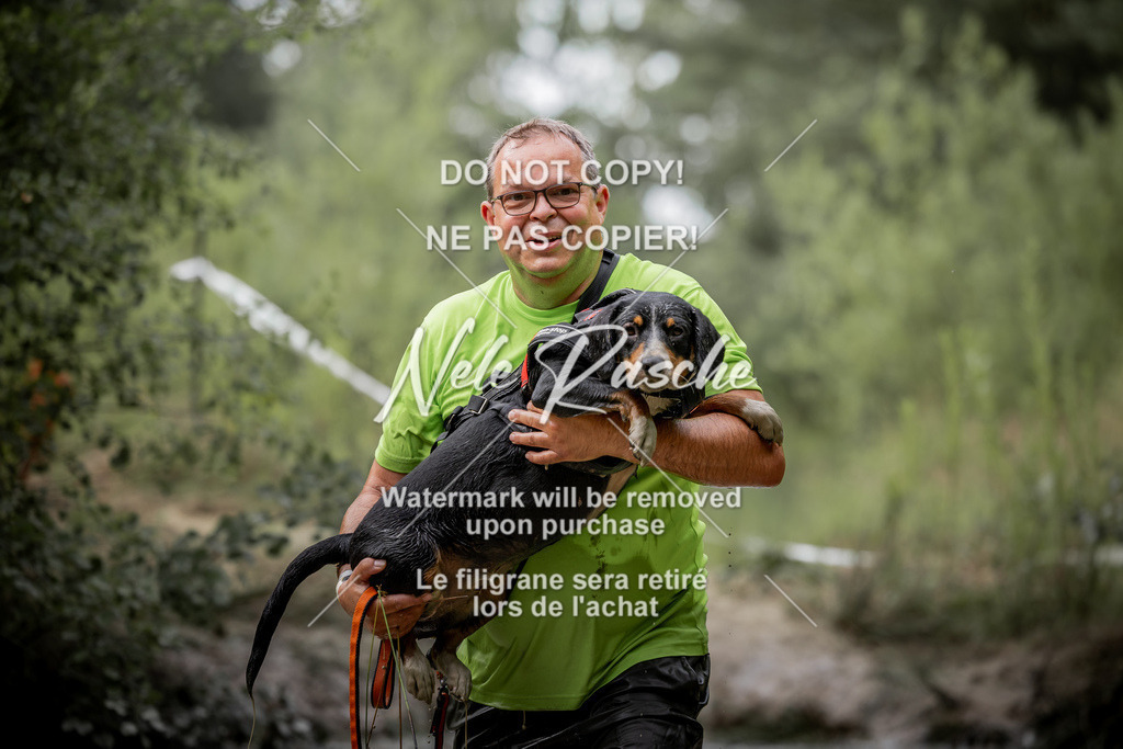 nelerasche_so0800-0930_162 | nelerasche