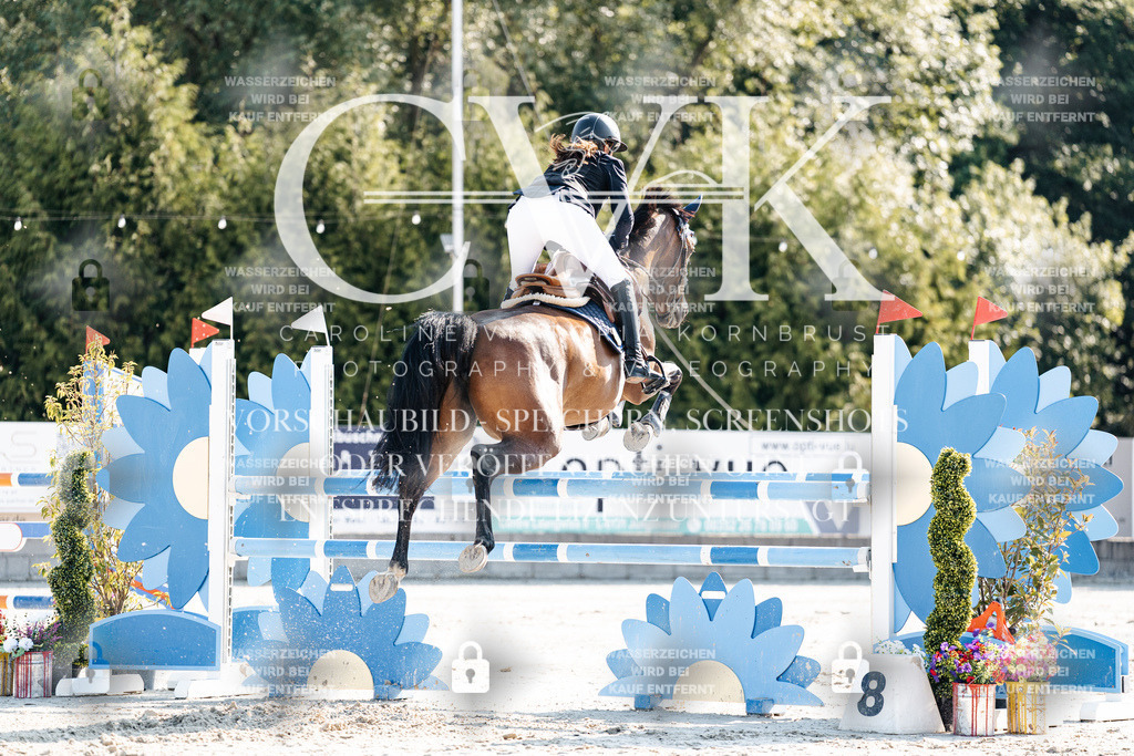 CK901814 | Turnierfotografie Pferdefotografie Trier Rheinland-Pfalz Pferdesport Reitsport Tierfotografie Sportfotografie Pferdevideo Pferdevideografie Equestrianvideography equestrianphotography  - Realisiert mit Pictrs.com